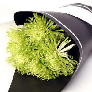 Additional Images