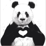 Panda Love Heart