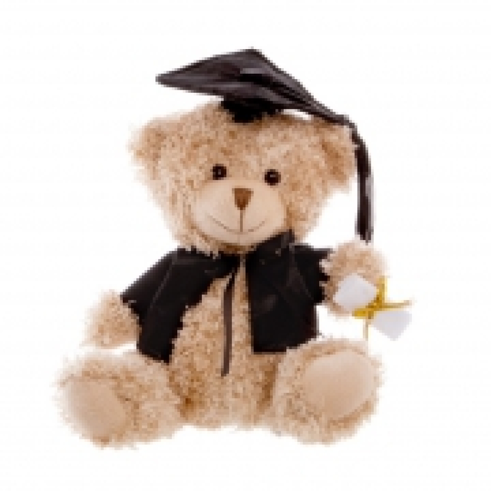 Graduation Bear 25cm - Cap and Gown
