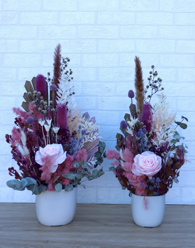 Everlasting Pot Pinks