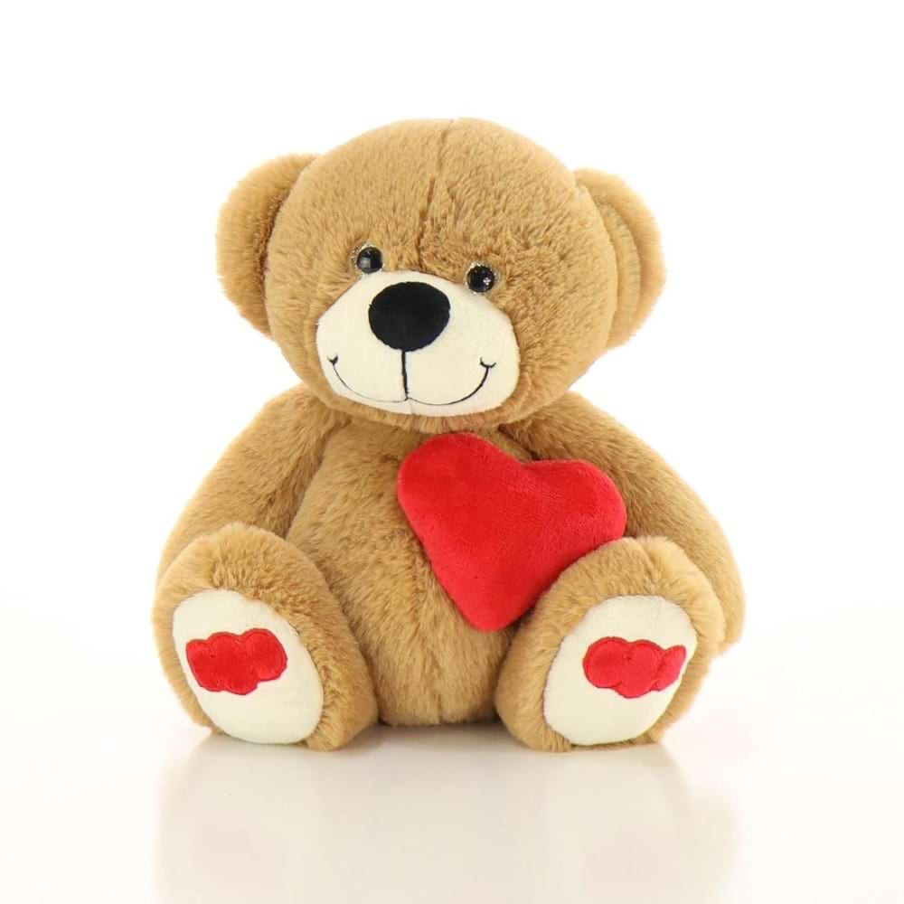 Teddy Bear with Red Heart