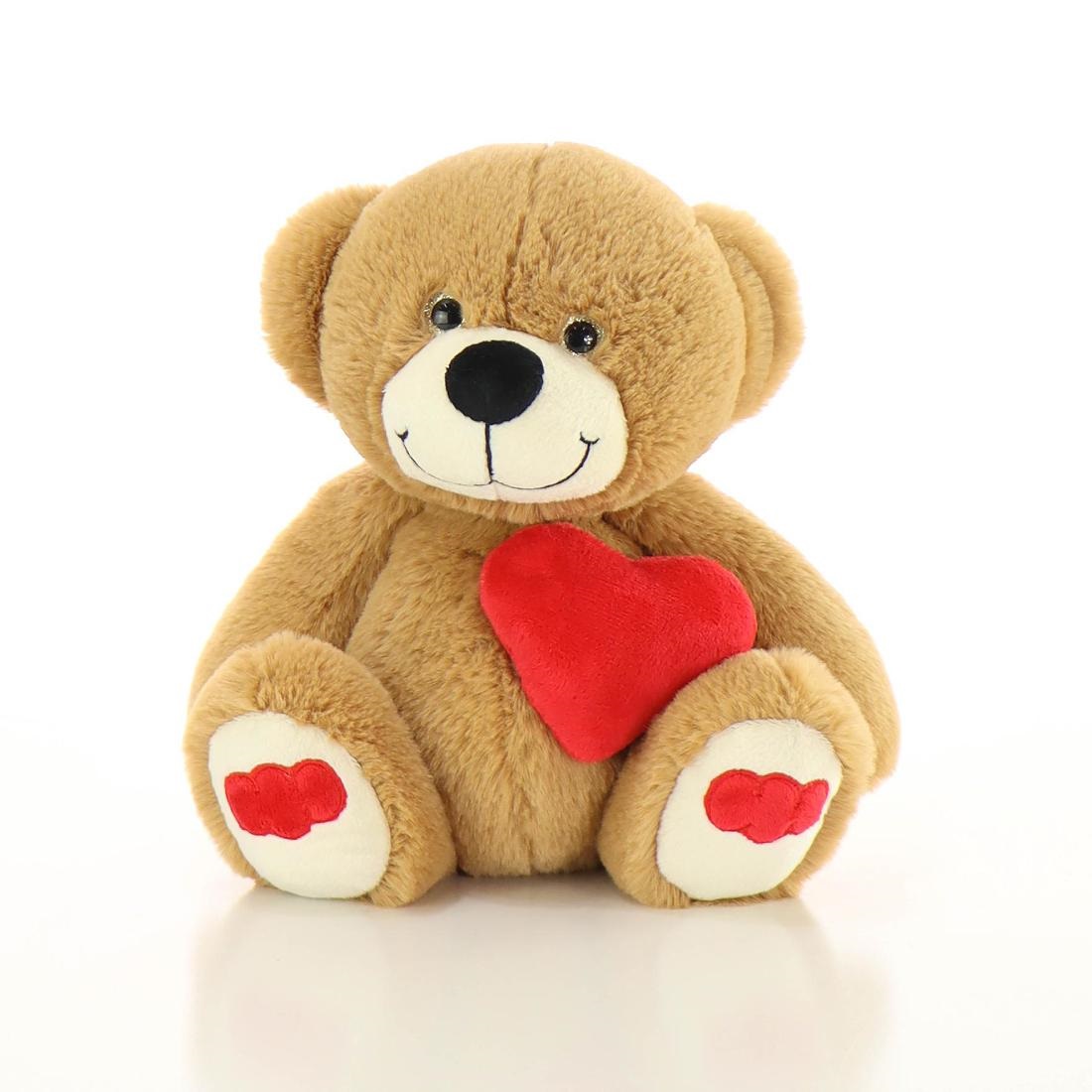 Teddy Bear with Red Heart